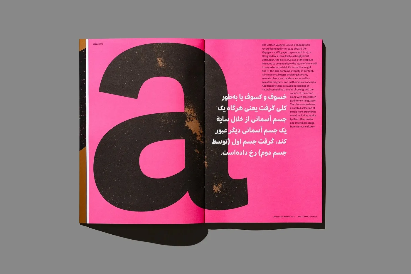 Image 5: Metallic Pantone ink and paper texture spread — typography design by Tereza Bettinardi