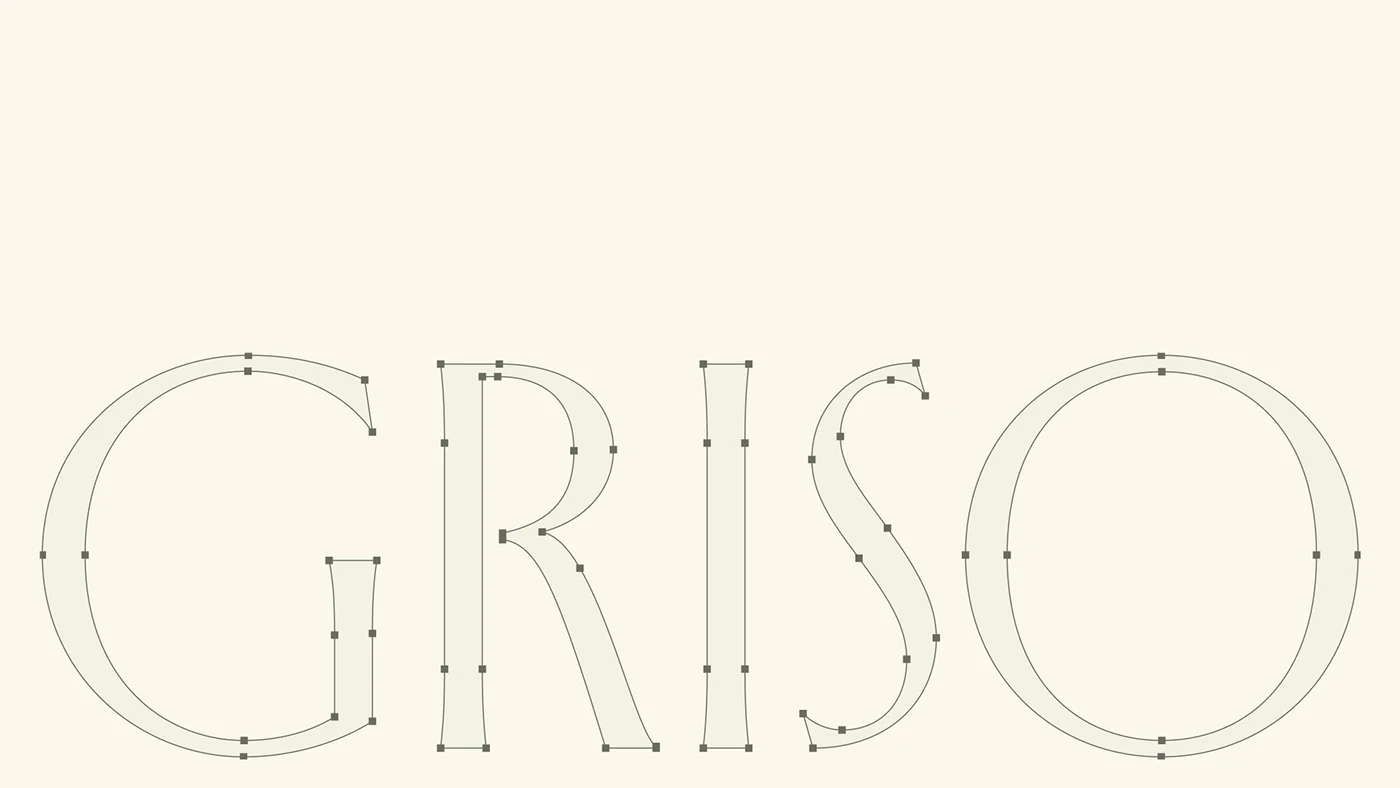 Image 11: GRISO branding design asset detail 10