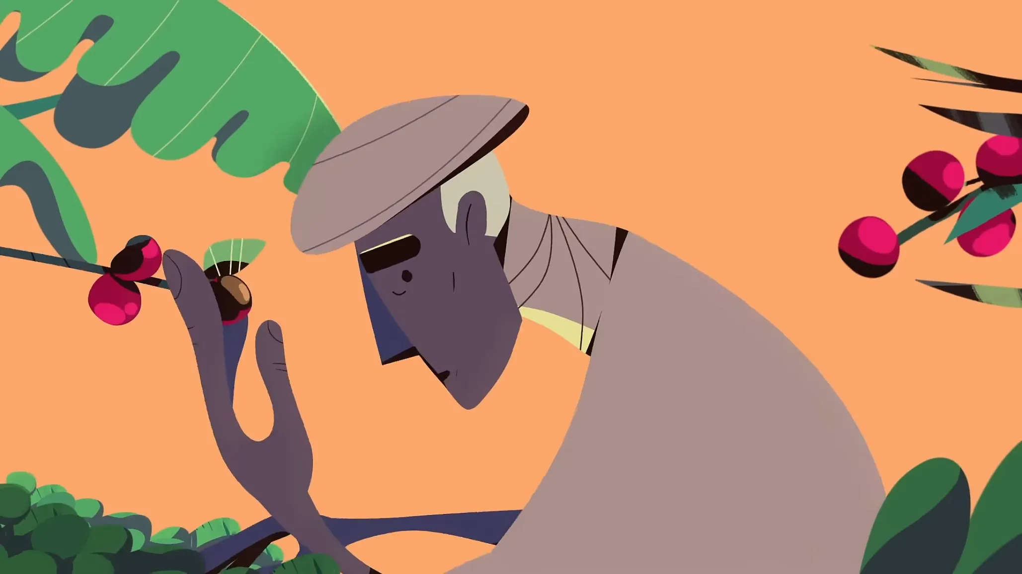 Img13 - Dancing Goats and Smuggled Beans: The Story of Coffee by Motionlab