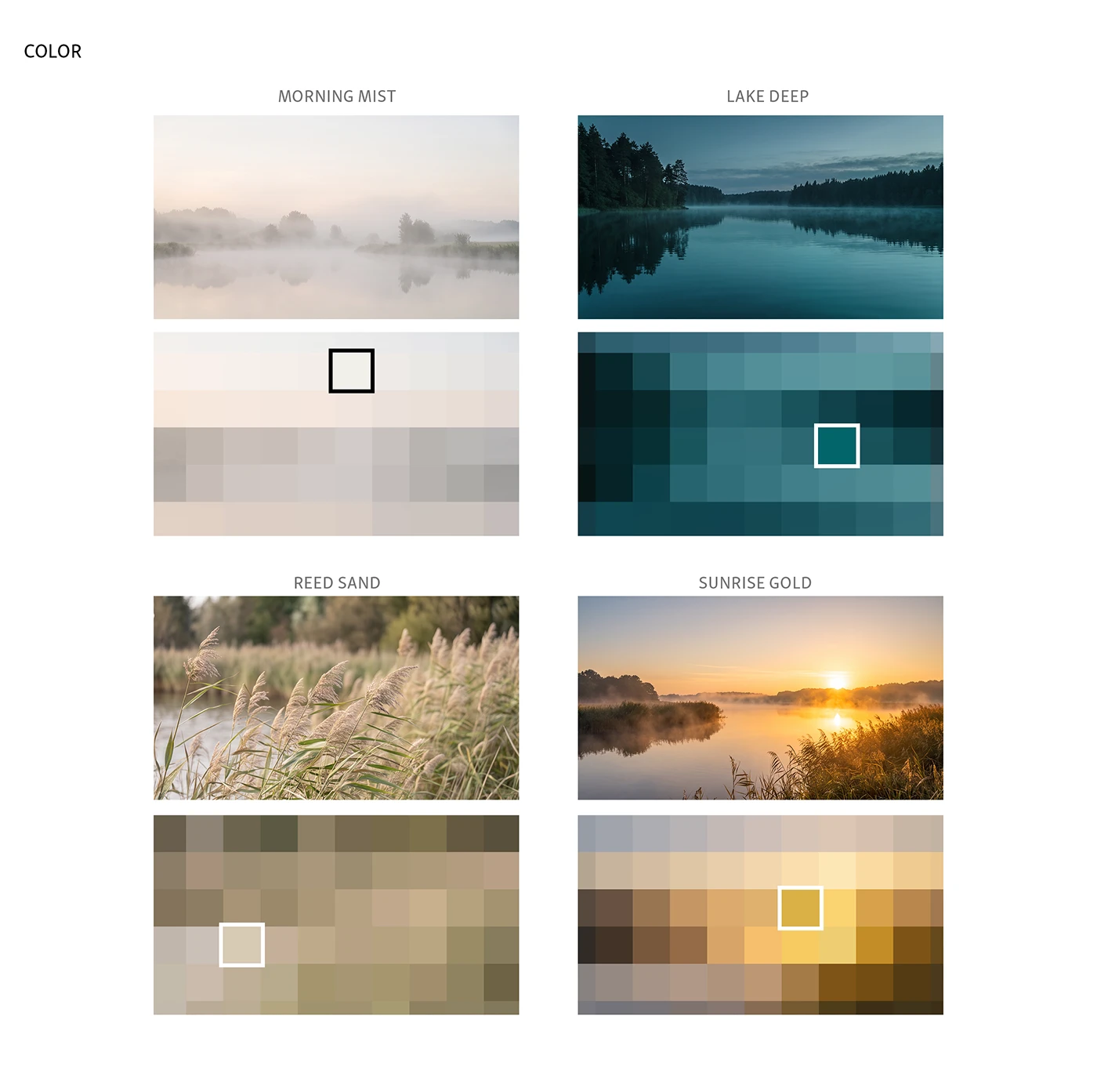 Img04 - VAYA Vakantiepark: How Nature Shapes a Visual Identity System