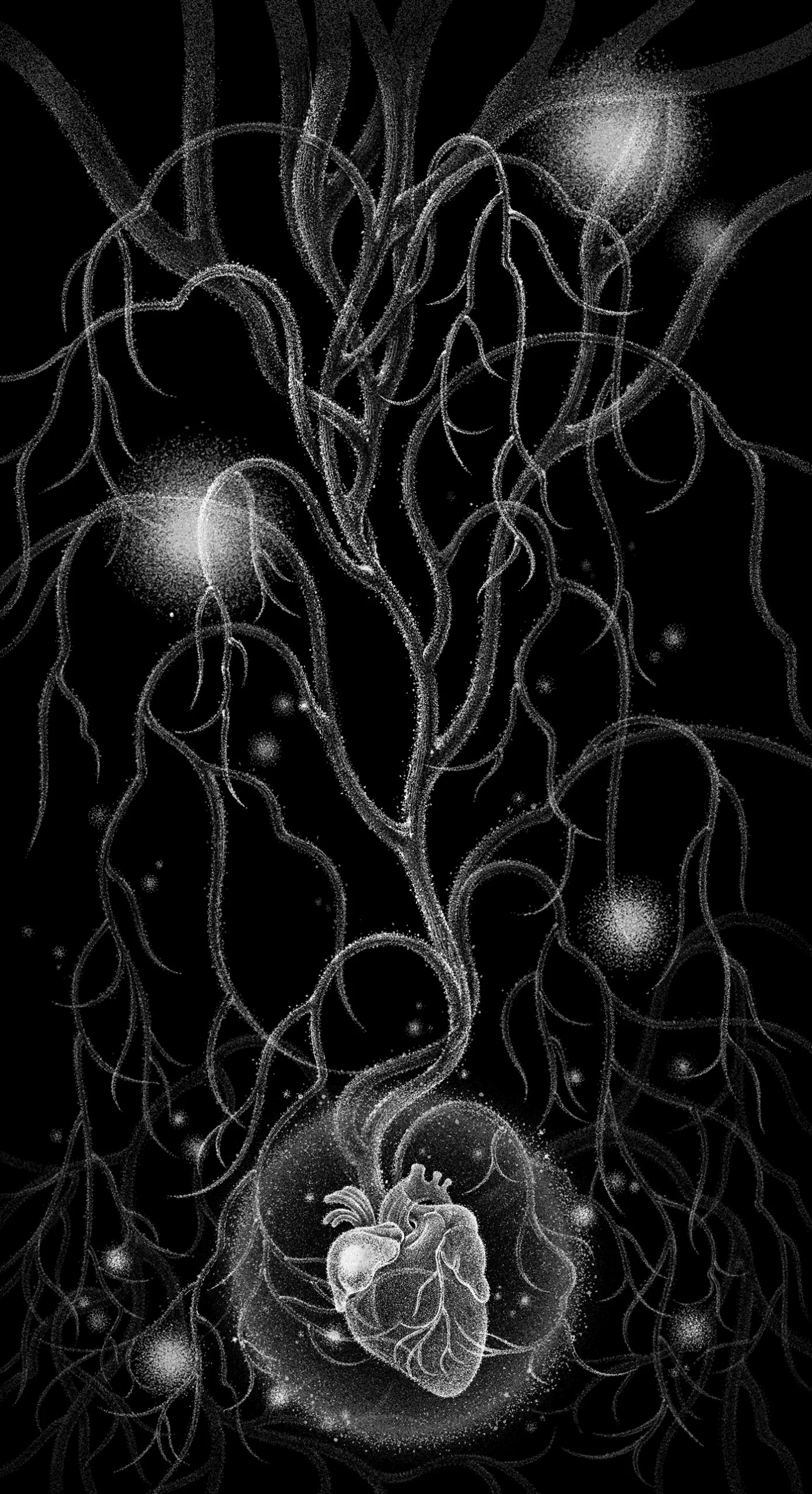 MV Animation For “Heart and Words” by Summer