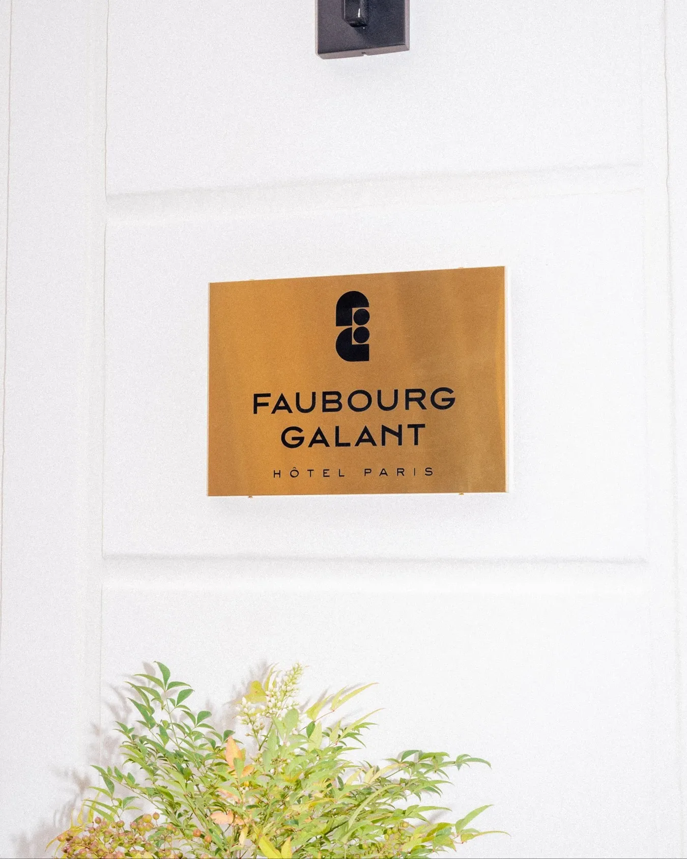 Img03 - Faubourg Galant - Retro-Modern Hotel Branding in Paris
