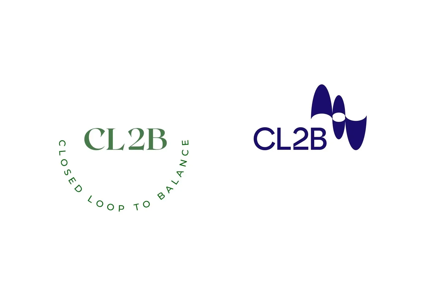 Img02 - CL2B Brand Identity: How Favor Design Redefined Circular Economy Consulting