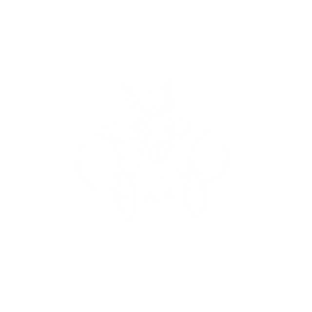 Img46 - Dimensionals: Behind the Art and Animation of Mino Games