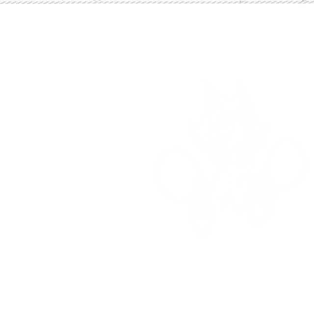 Img48 - Dimensionals: Behind the Art and Animation of Mino Games