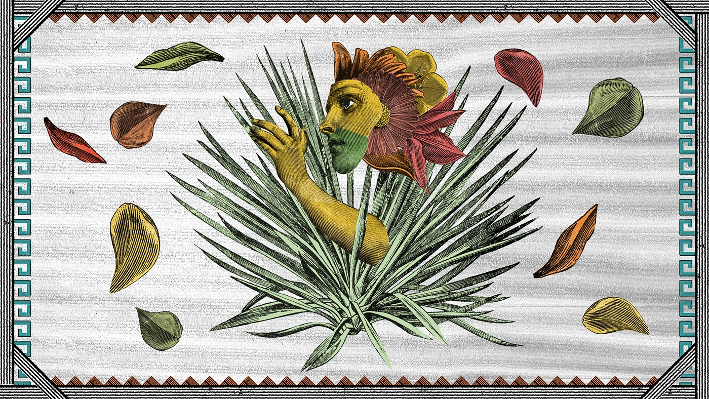 Img02 - Mahani Tequila Packaging and Video Illustrations by Eduardo Ramón