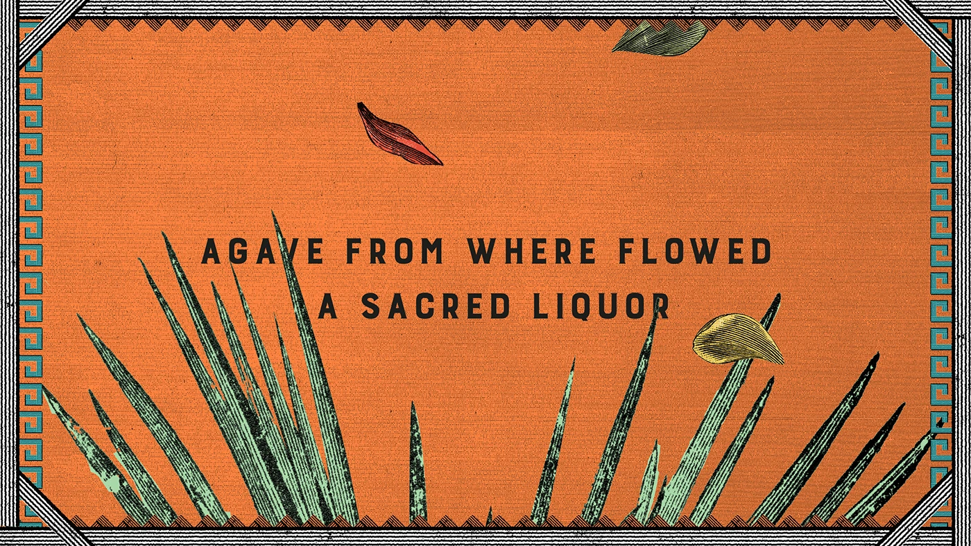 Img05 - Mahani Tequila Packaging and Video Illustrations by Eduardo Ramón