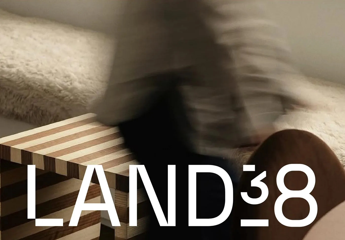 Img02 - LAND38: Swiss-Inspired Brand Identity for Interior Architecture