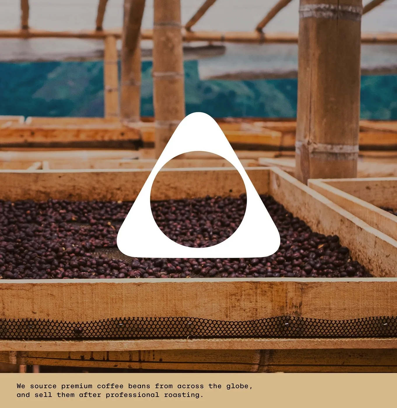 Img04 - Desert Coffee Roasters: Minimalist Visual Identity and Packaging by taoSTUDIO