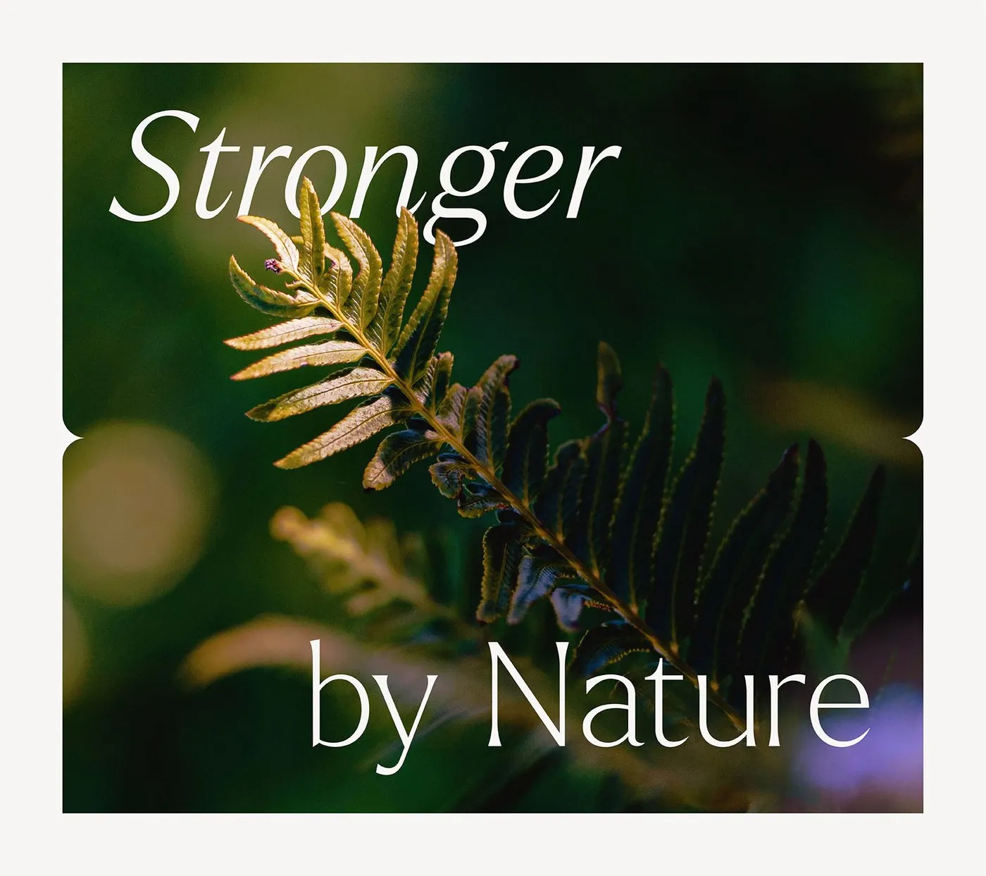 Aire Park: A 50-Year Civic Identity Strategy by Kiss Branding