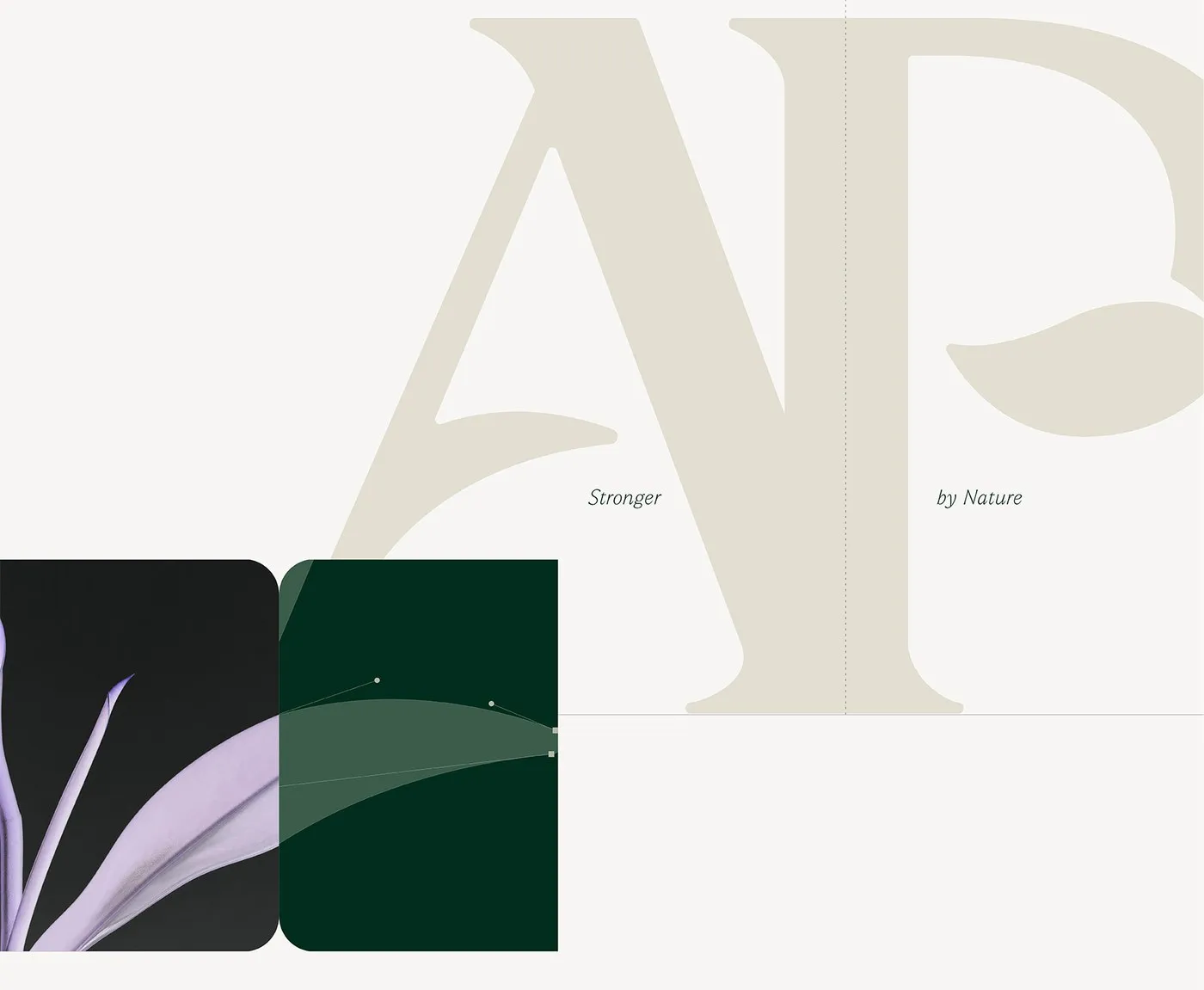 Img02 - Aire Park: A 50-Year Civic Identity Strategy by Kiss Branding