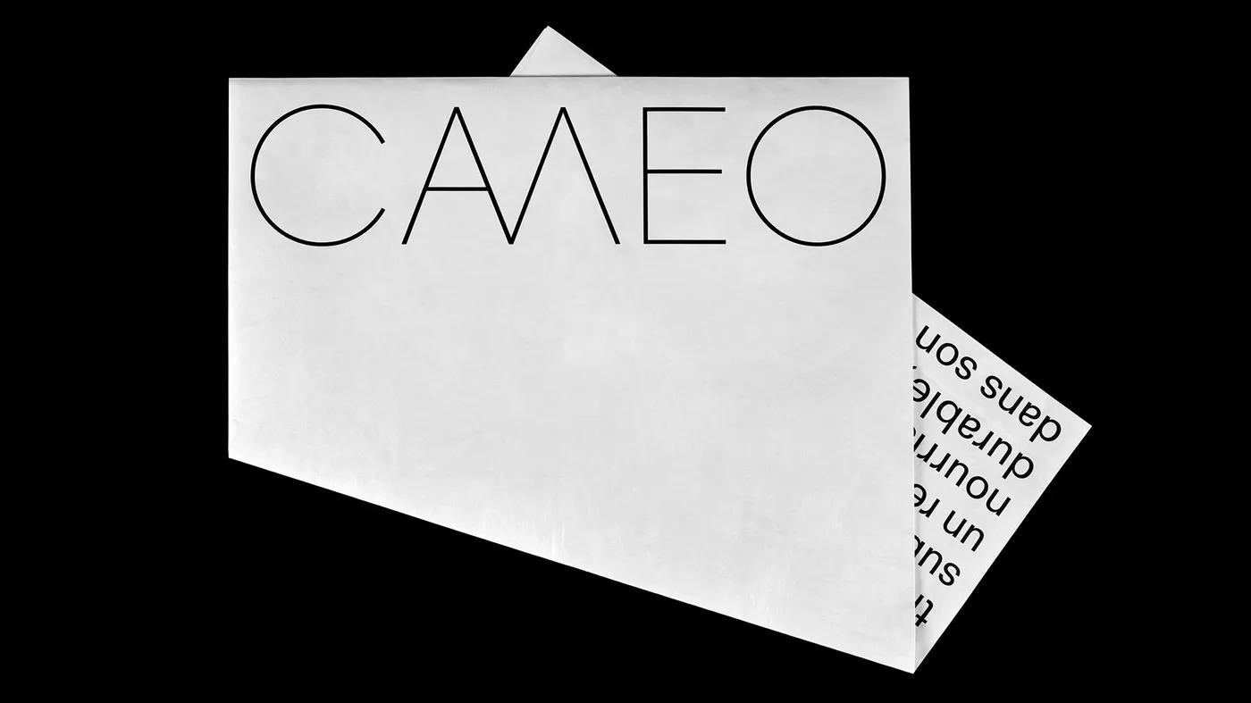 Tactile Brand Identity for CAMEO Architecture Firm by Paprika Design