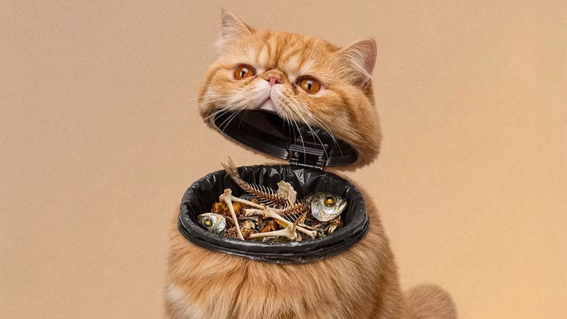 Bizarre Pet-Bin Hybrid Print Ads by Ogilvy Greece for Mousoudi Pet Shop