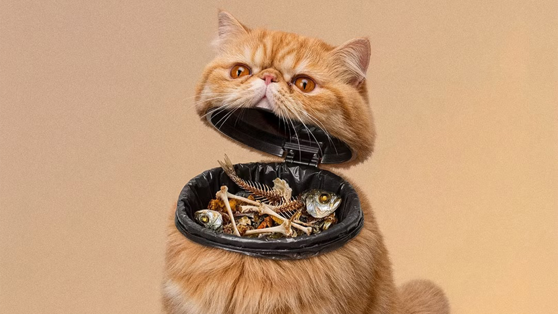 Image 7: Pet PSA poster featuring a cat-bin hybrid