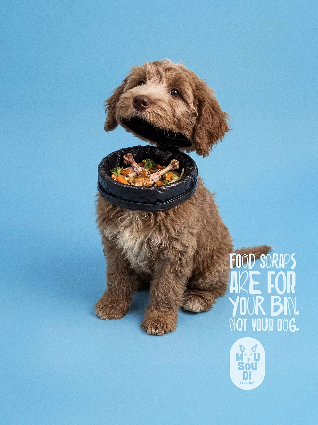Image 8: Posters of pets with bins for mouths