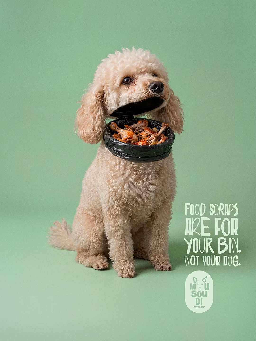 Image 10: Posters of pets with bins for mouths