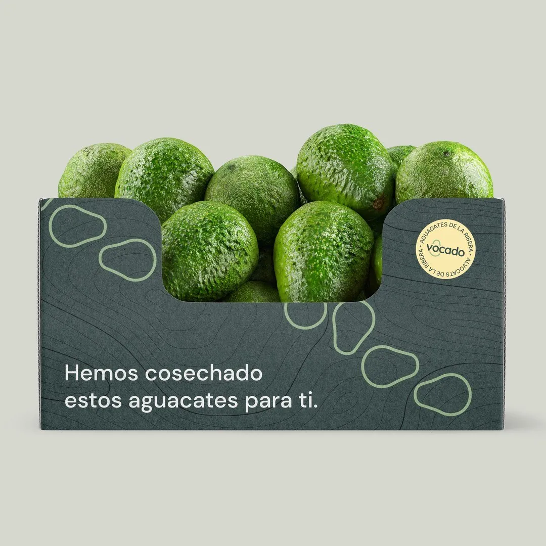 Img02 - Vocado Branding and Packaging Identity by Estudio E
