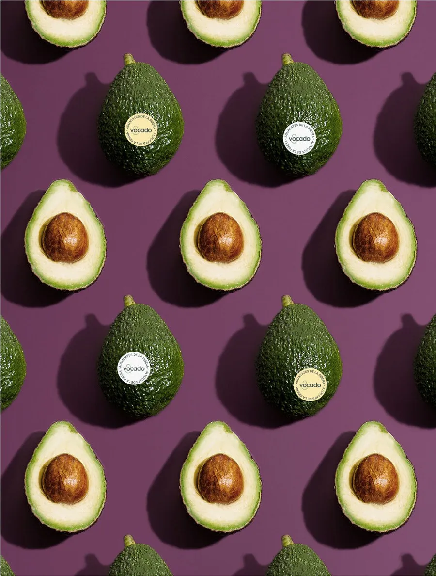Img03 - Vocado Branding and Packaging Identity by Estudio E