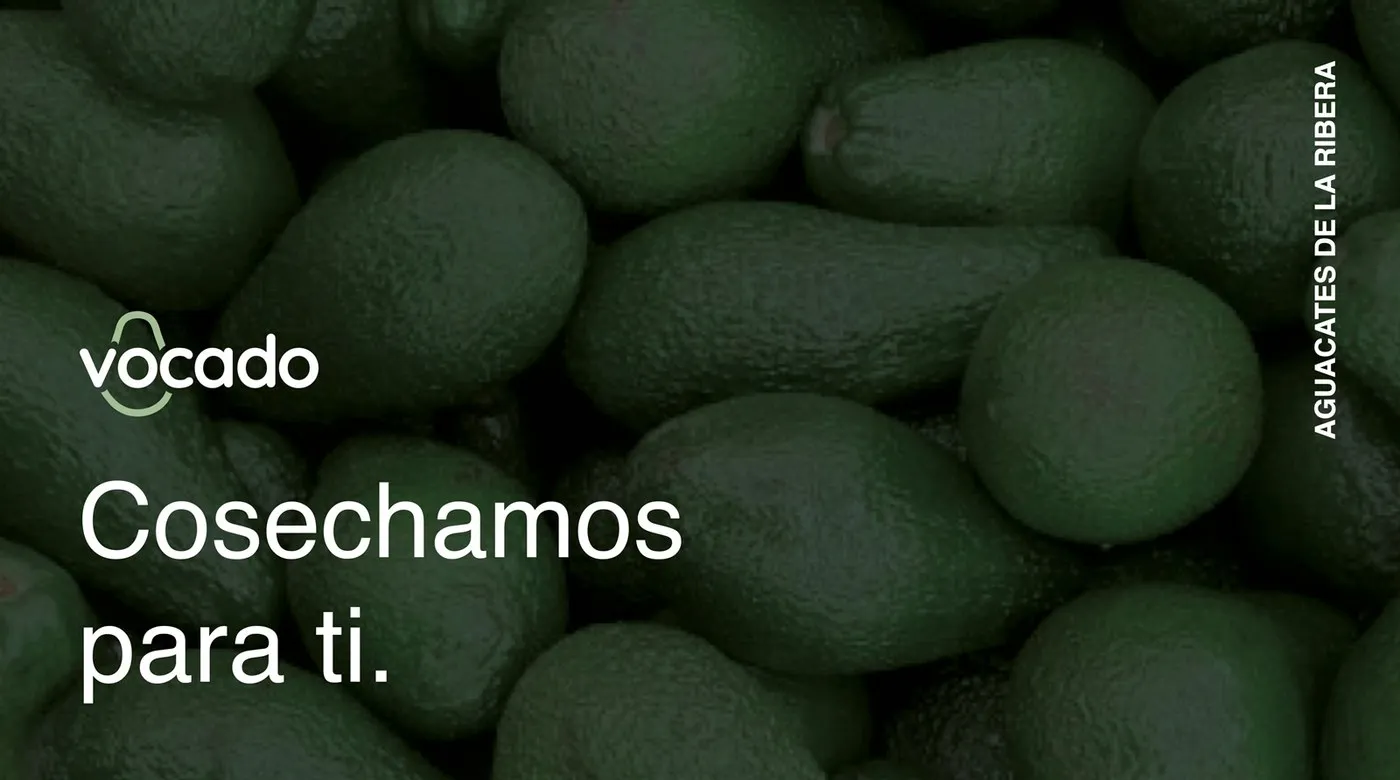 Img06 - Vocado Branding and Packaging Identity by Estudio E