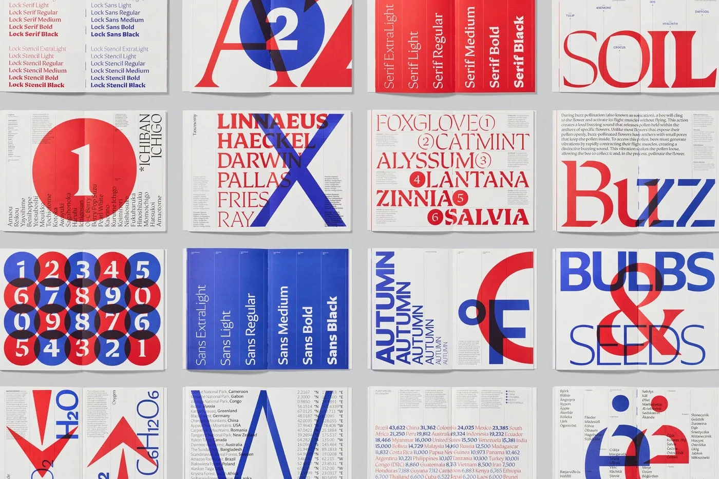 Img10 - Lock Superfamily: Dual-Style Type System by Mash Creative