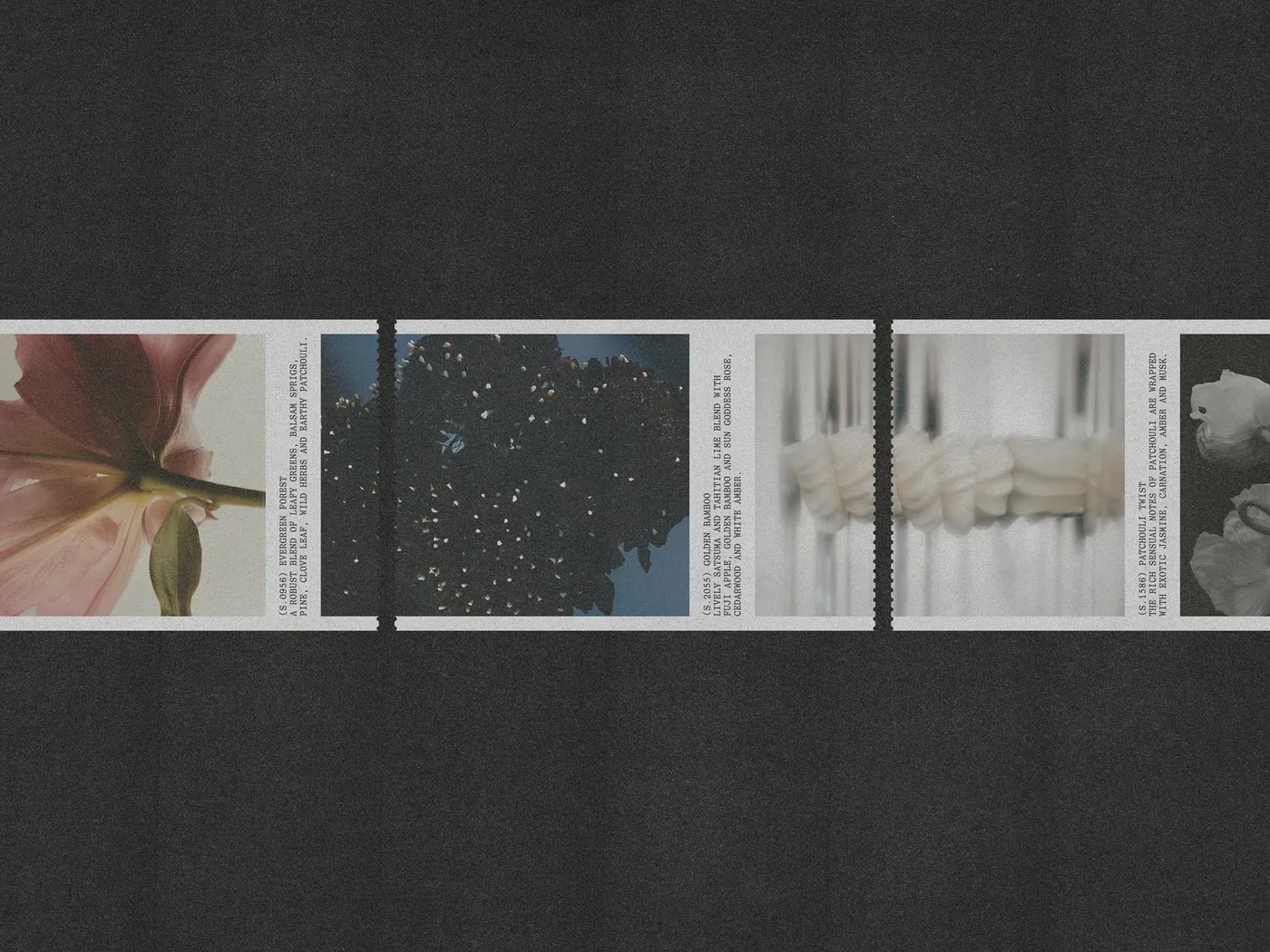 Img02 - Uniscent Visual Identity by Lundgren+Lindqvist: Blending Olfactory Fluidity with Laboratory Precision