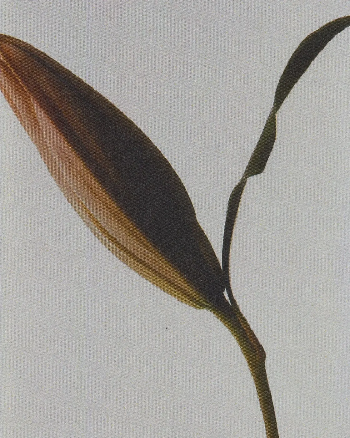 Img05 - Uniscent Visual Identity by Lundgren+Lindqvist: Blending Olfactory Fluidity with Laboratory Precision