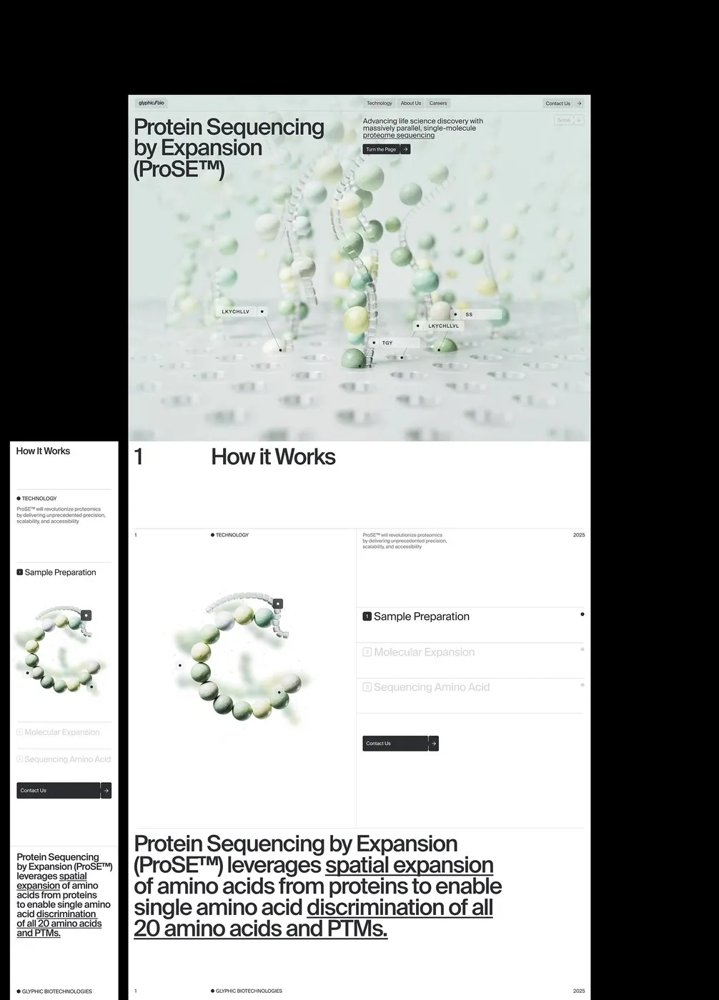 Img04 - Glyphic Biotechnologies Web Design by Obys Agency: Translating Complex Science into Digital Motion
