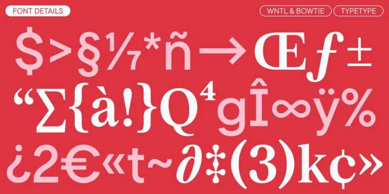 Rocket Type System: Custom Dual-Family Typography by TypeType Foundry Img01 - Rocket Type System: Custom Dual-Family Typography by TypeType Foundry