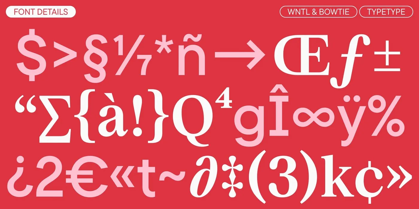 Rocket Type System: Custom Dual-Family Typography by TypeType Foundry