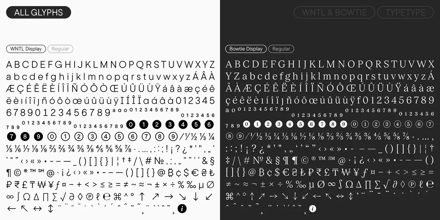Img05 - Rocket Type System: Custom Dual-Family Typography by TypeType Foundry