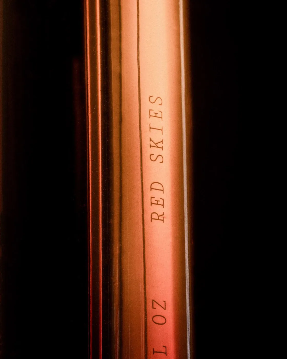 Img02 - A Scientific and Disciplined Editorial Design for ØTHERS by Two Times Elliott