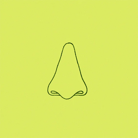 Img03 - Weird and Wonderful: The Creative Visual Universe of A. Bran