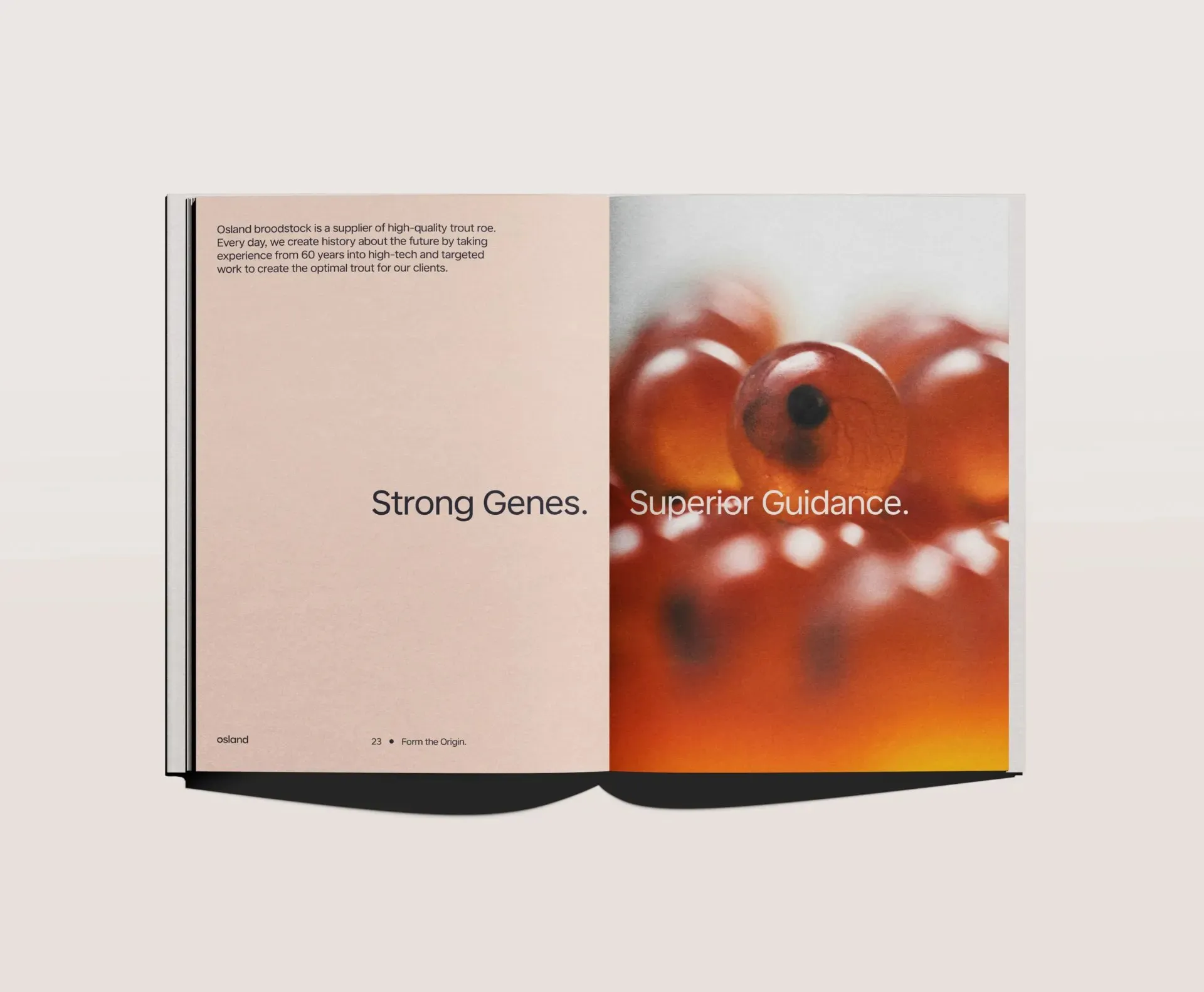 How KIND Reimagined the Brand Identity for Osland