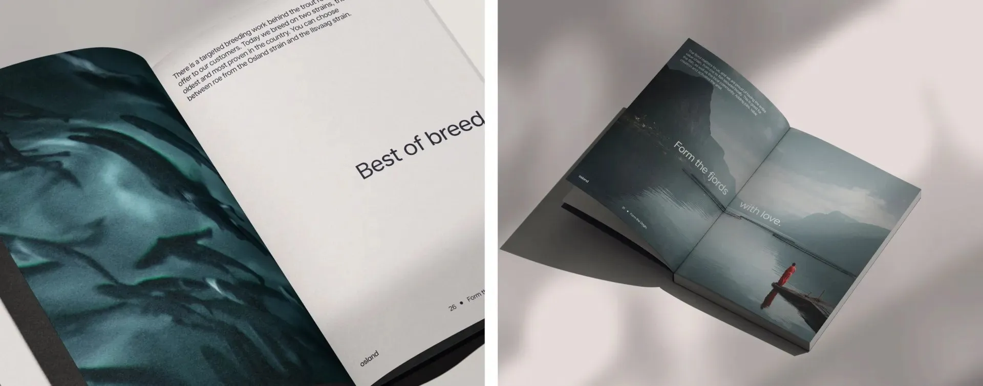 Img09 - How KIND Reimagined the Brand Identity for Osland