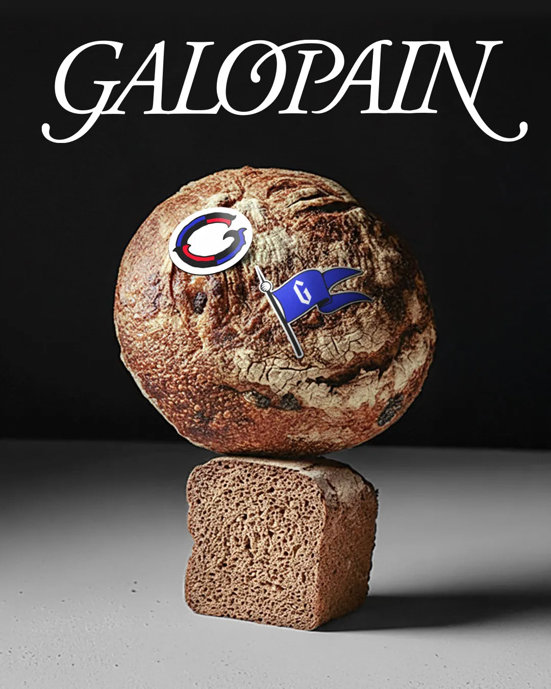 Img05 - Medieval Manuscript Vibe in Charline GROEN’s Branding for Galopain