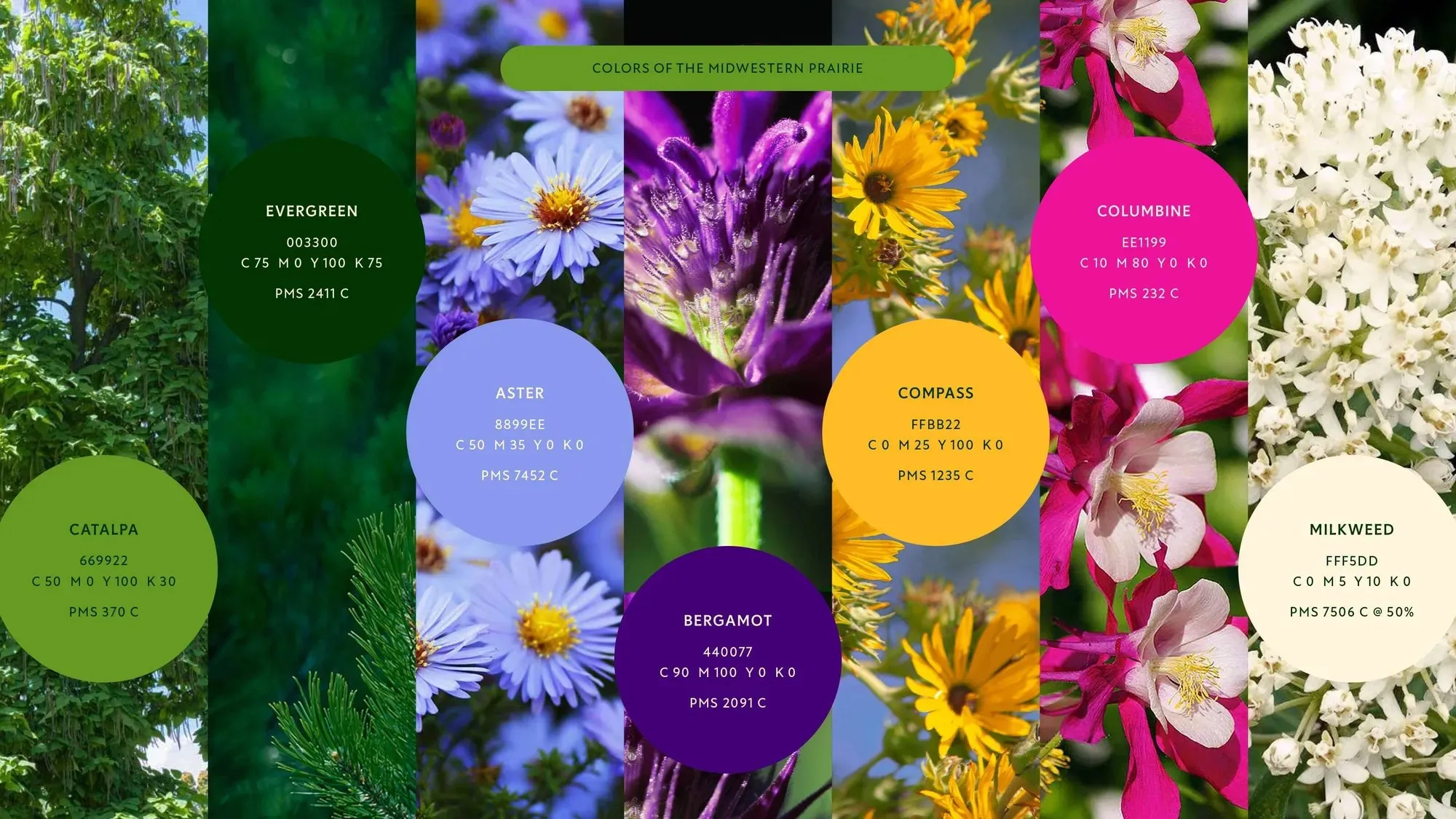 Img04 - Span Redefines Chicago’s Nature Museum Identity with Prairie-Inspired Design